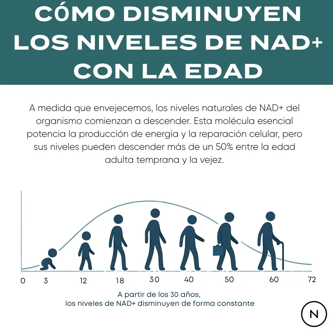 Imagen del producto 9